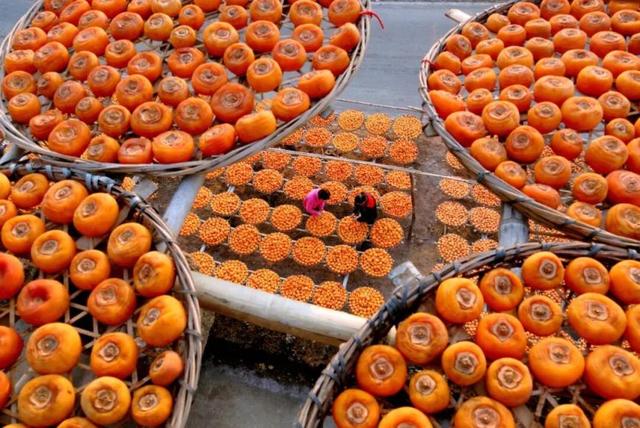 这座高铁站内，为啥众多旅客手拿树枝？