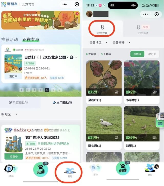 活动报名｜北京公园自然观察季10.6-10.12，公园追秋walk限时速来～