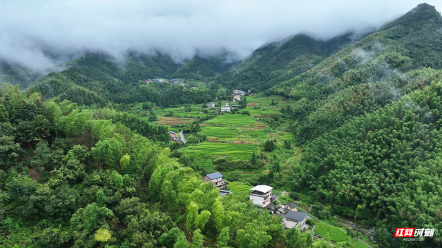 宜章县黄岑村：云雾缭绕 如梦如幻