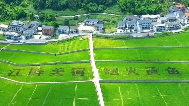 【绥阳县2025十大年度热词】山水赋能后，金银自然生——破译“清凉经济”的绥阳样本