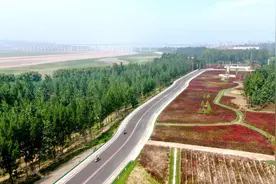 新时代中国调研行·黄河篇丨景美河畅绿意浓——河南黄河流域生态保护和高质量发展观察图片