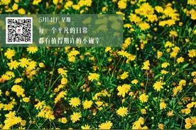 1810套！新一批保租房开放申请图片