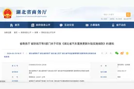 湖北发布3亿元汽车置换更新补贴，旧车换新最高可领七千元，业内人士预测湖北车市将迎来有力增长图片