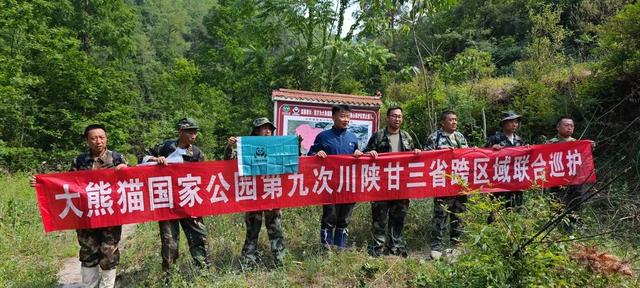 游客停留时间不足6小时，野生大熊猫遇见率川内第一的唐家河如何“破圈”？