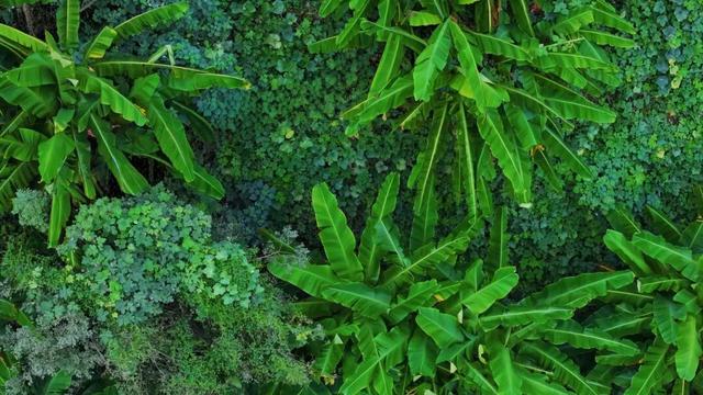 初冬，来大龙开发区遇见“限定暖阳”