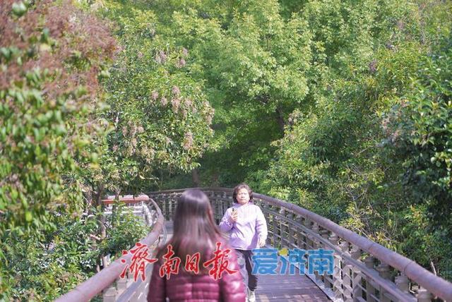 一年四季 泉在济南丨泉城公园秋景如画 晴日漫步赏秋享惬意