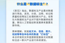 一图读懂｜什么是“数据标注”？国家首次系统谋划图片