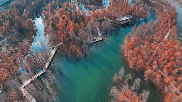 上海有个超美的新公园，未开先火！有人偷偷爬进去、溜进去、翻进去……太危险！