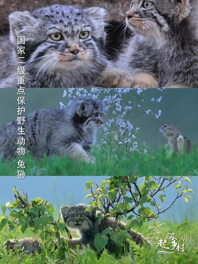 10月秋景顶流旅游地，摄影师盛赞的“北疆一绝”，7日换7色。看纪录片《西拉沐沦》赏赤峰秋色