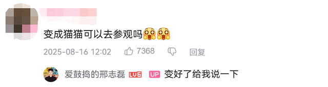 博主为猫咪打造专属地铁，网友：以为是AI，结果是手作？