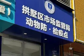 最近不少人在给自家毛孩子办这个证，有效期5天，过年回老家急需图片