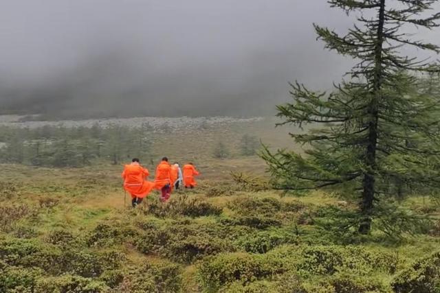 禁令之下，“生死结”难解：鳌太线为何越禁越火？