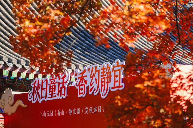 层林尽染正当时，香山公园进入红叶最佳观赏期
