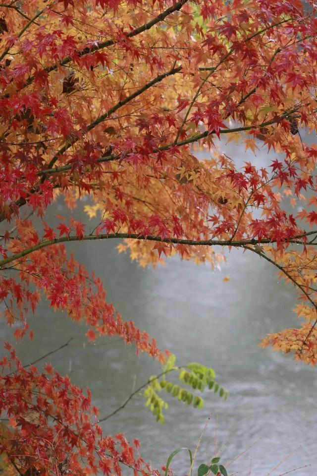 荆州的秋，才是隐藏BOSS！🥰🥰🥰