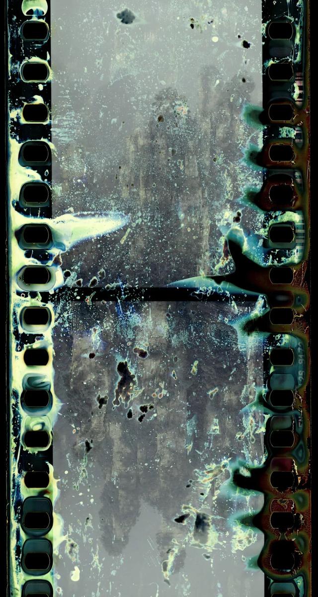 跨越那二十多分钟：集美·阿尔勒的十一年