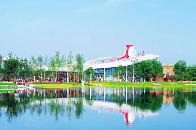 官方剧透！2026年元旦郫都一大波活动抢先看，精彩不重样~