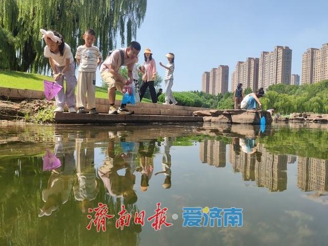 一年四季 泉在济南丨初秋济南天朗气清 市民户外乐享 “泉城秋韵”