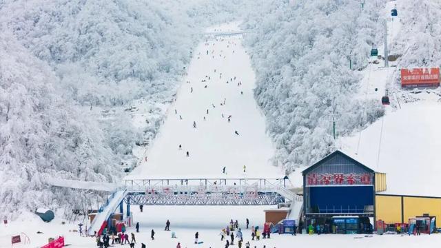 棒棒哒！伏牛山四季旅游度假区获奖