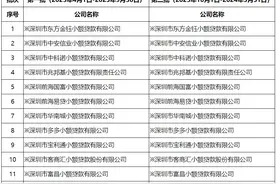 深圳公示35家空壳小贷公司名单图片