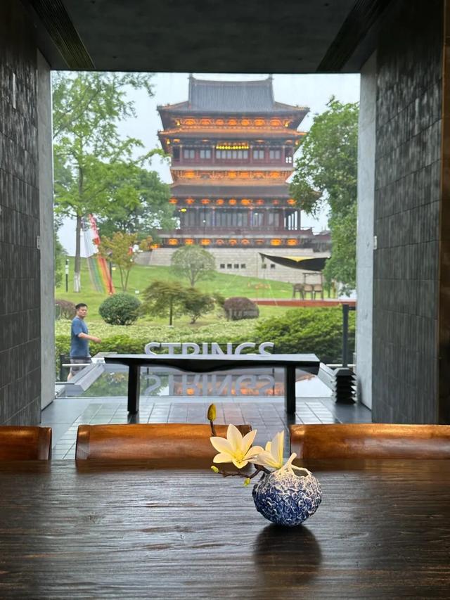 八面玲珑，见泰州N面！