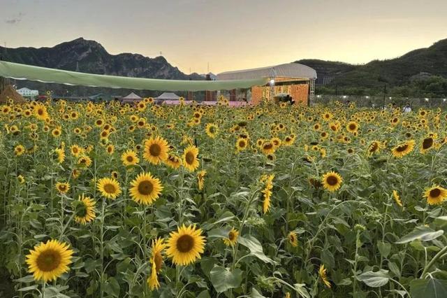从“颜值”到价值，“两山”理念在这里落地生根！