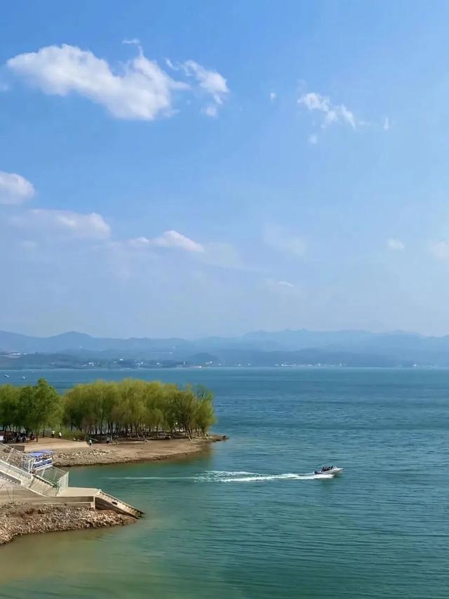 季节限定！洛阳些“海”人少景美，快出发！