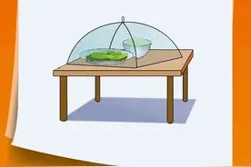 假期安全饮食，注意事项看这里图片