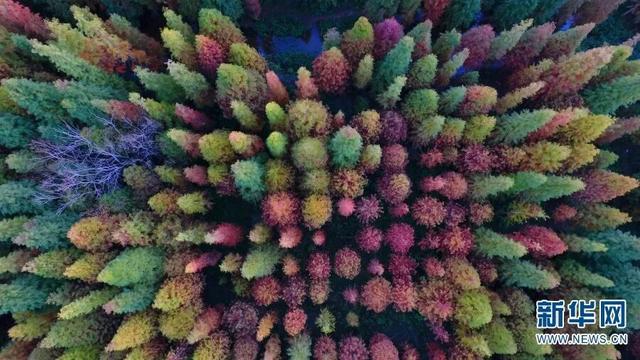 云南旅游，“心”发现！