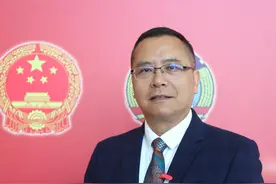 专访凤岗镇委书记张耀洪：融深发展先行先试，再造一个新凤岗图片