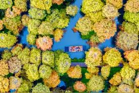 水上森林冬景醉人图片