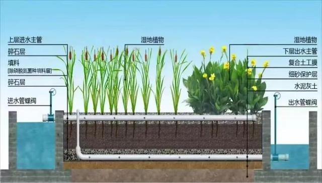 每天8.5万吨洗脚水冲厕水，竟都流向了这个网红公园？