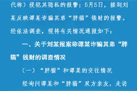 警方通报胖猫跳江身亡事件图片