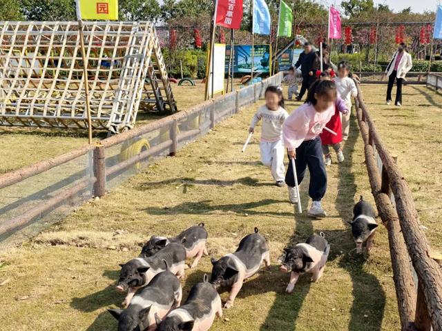 赏花撸萌宠、水果采摘、围炉煮茶……来珠海这里跨年，太精彩！
