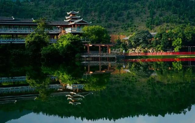 南宁就是冬日旅游天花板！摘果+跑马+演唱会+美景打卡，带你玩转“水果自由”之旅