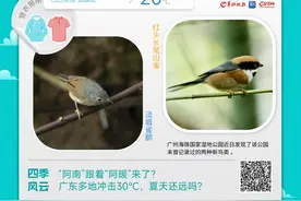 温度记丨广东多地冲击30℃，夏天还远吗？图片