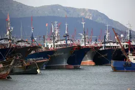 新华日报发表“辛仲平”署名文章：追江赶海立潮头图片