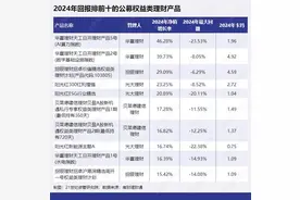 太保资产、大摩、财通等多只权益产品净值涨超 50%，华夏理财多只被动产品跌幅较大丨2024年资管产品表现④图片
