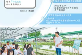 在农村，给电商主播们当老师（身边的经济故事）图片