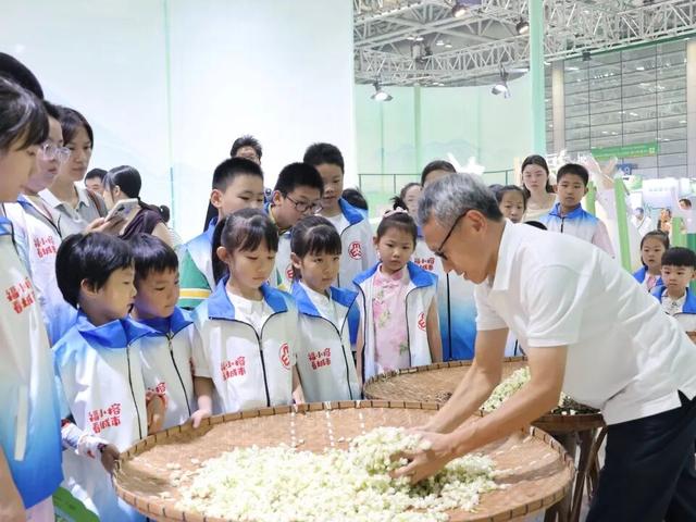 福小榕看城市丨“茉莉香韵 小玩家趣享茶”茉莉花茶文化节主题活动开展