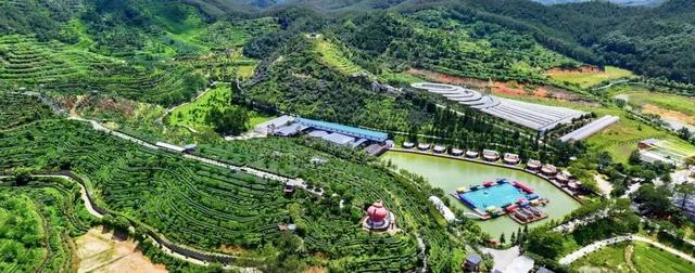 免费！特惠！江门邀你共迎十五运，景区多重福利等你来~