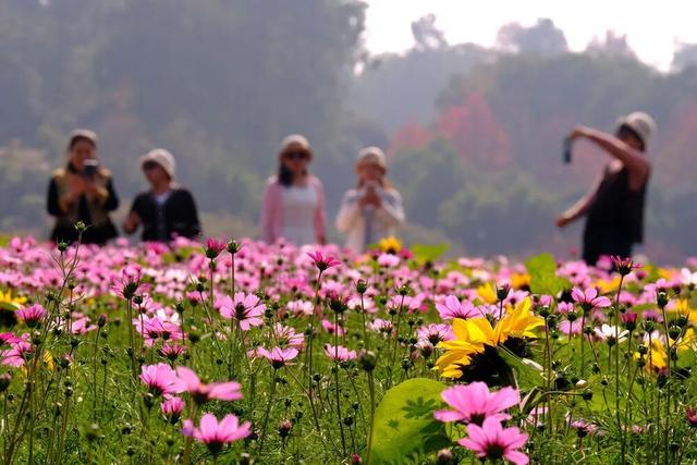 日子寻常，门前的风光不重样：记录湖南冬日限定的温柔