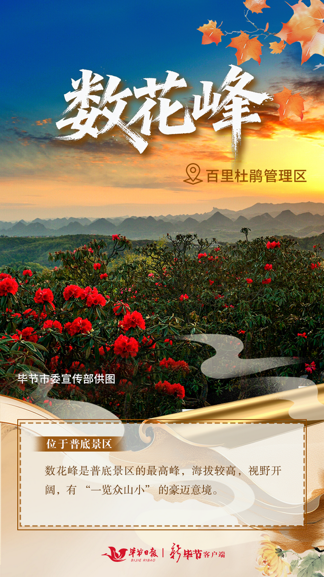 毕节，藏着这些登高好地方→