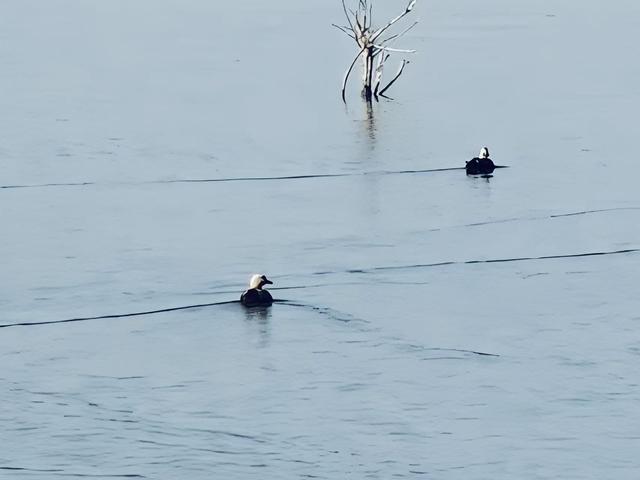 组图｜红崖山水库：邂逅一汪清冽 收藏冬日静美