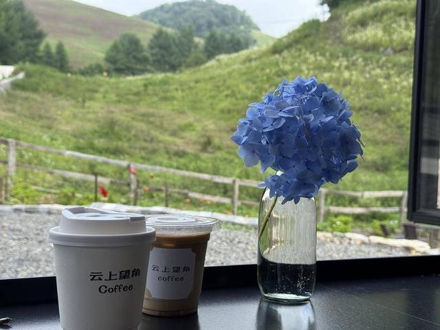 深挖“冷”资源 激活“热”经济 长阳火烧坪打造避暑新IP