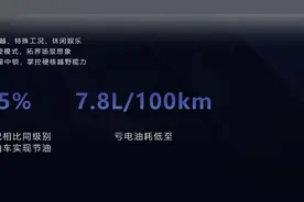 方程豹5百公里油耗18升？交警介入调查图片