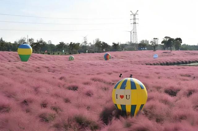 速藏启程！仪征秋季骑行一站式攻略，把秋景与趣味统统骑进眼里~