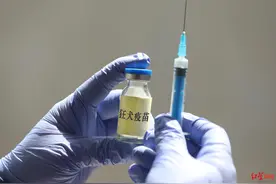 被老鼠咬伤要打狂犬疫苗？专家：通常无需接种，伤口较深时打破伤风针图片
