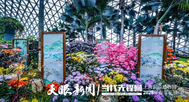 科技赋能“高山精灵”!贵州云上杜鹃让世界看见毕节花卉力量