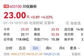 大股东拟转让所持19.25%股份 央企国机集团或入主川仪股份图片