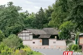 小溪潺潺，荷香阵阵，盛夏清溪村的早晨醉游人图片